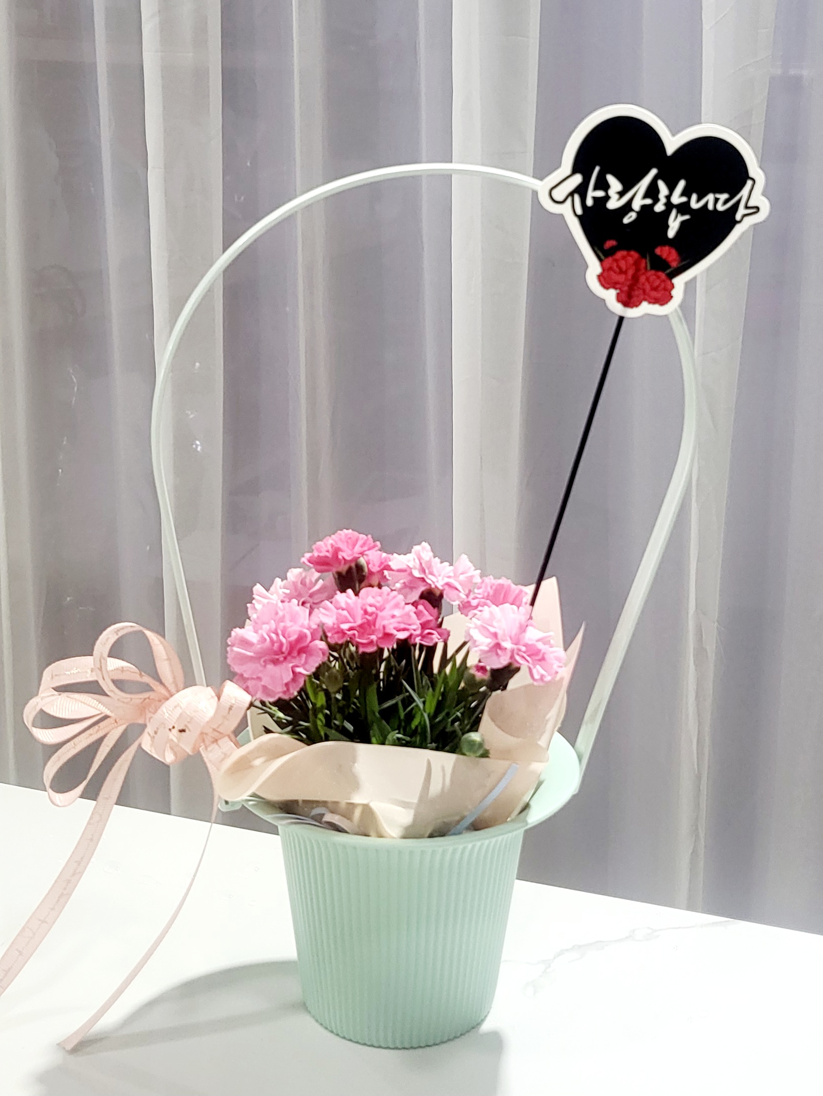 카네이션바구니 어버이날 선물용