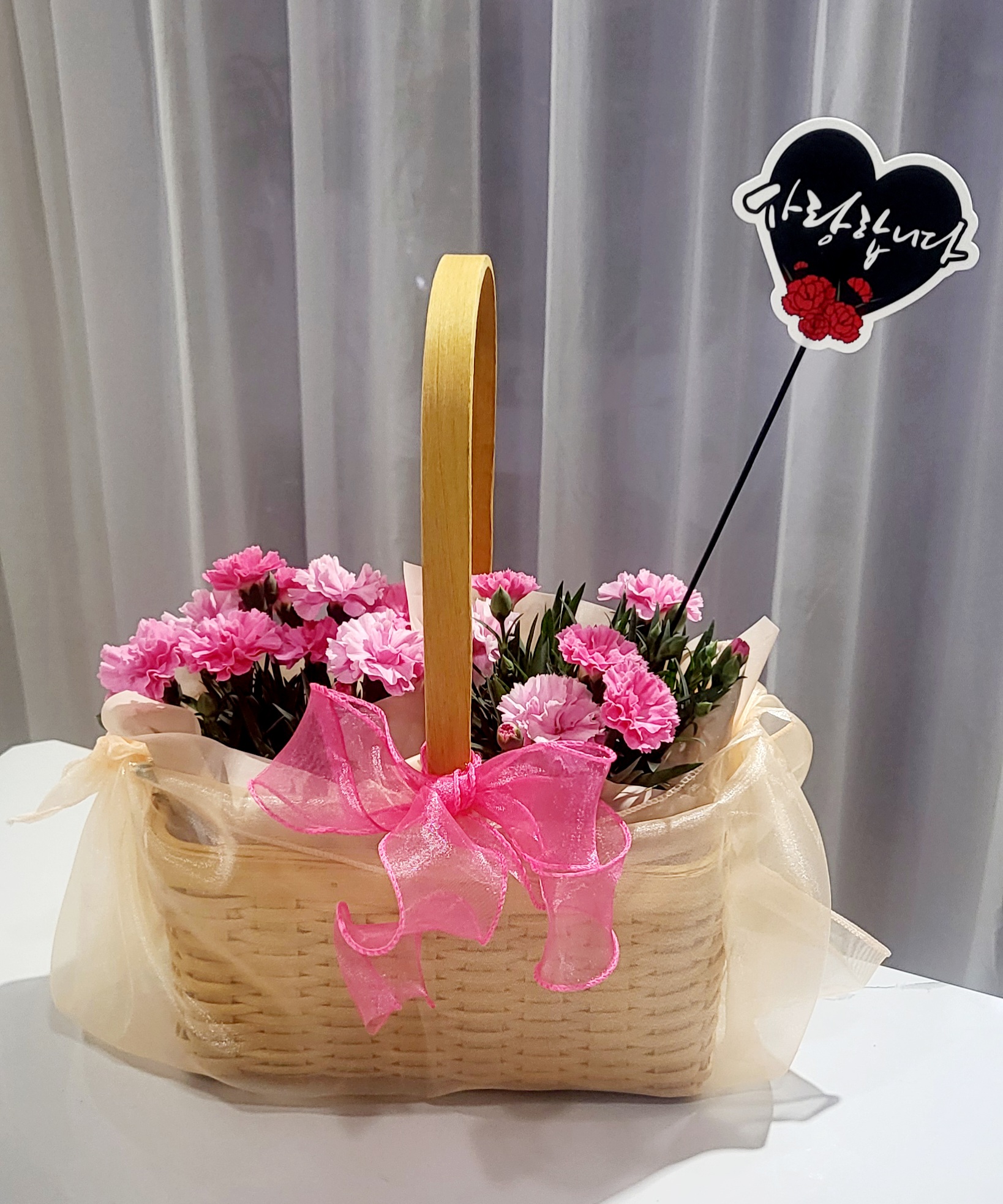 카네이션바구니(대) 어버이날 선물용