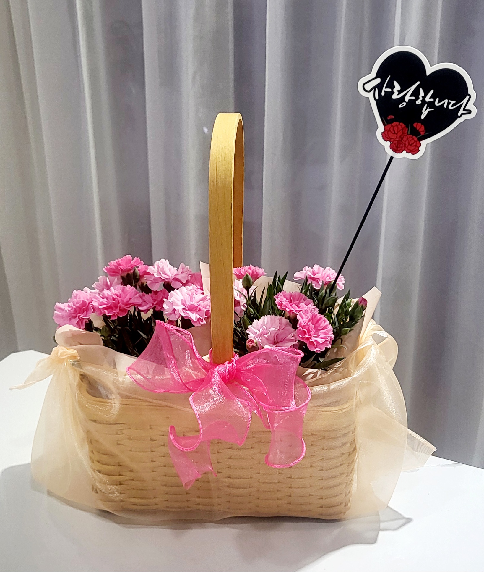 카네이션바구니(대) 어버이날 선물용